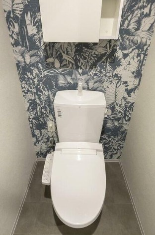 豊島区巣鴨３丁目の賃貸マンションのトイレ