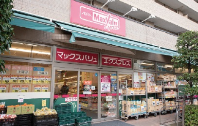 ステージファースト横浜阪東橋の周辺|マックスバリュエクスプレス横浜吉野町店 347m