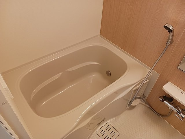 ラーナ　カーサ　Ｄ棟の浴室