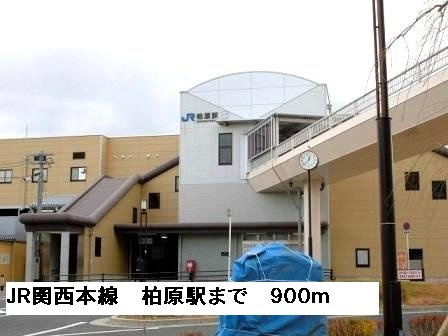 【周辺】 | セレノ　アロッジオⅦ | ＪＲ関西本線柏原駅まで900m