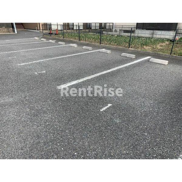 Surplus　桜の駐車場
