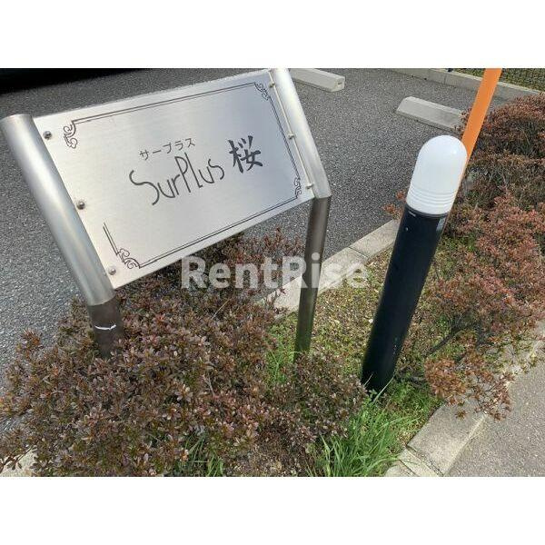 Surplus　桜のその他