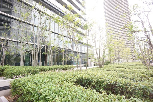 大阪市北区中之島６丁目の中古マンションの外観