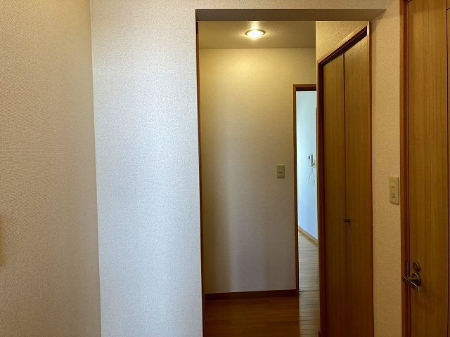 Ｌｅｖａｎｔｅ　Ｓｈｉｂｕｙａのその他
