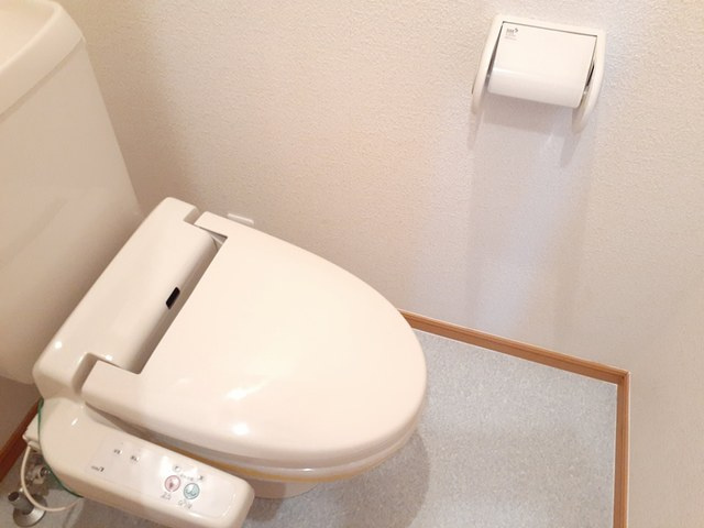 パレスハーモニーのトイレ