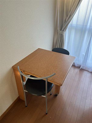 レオパレスアルシオネのその他