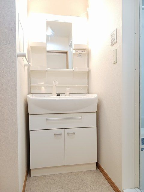 セイバリーの洗面所