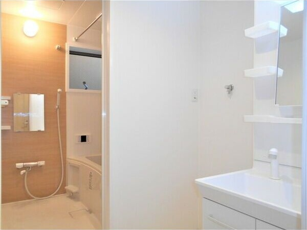 LUXE.STYLE辻町WESTの洗面所
