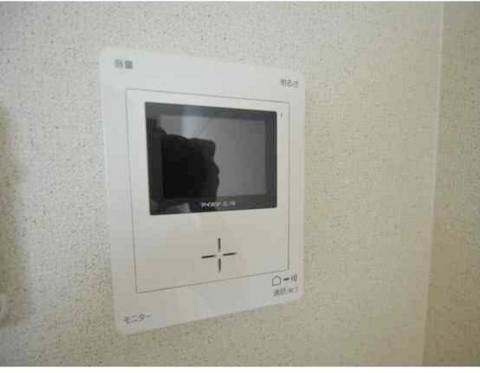 アリッサムのセキュリティ