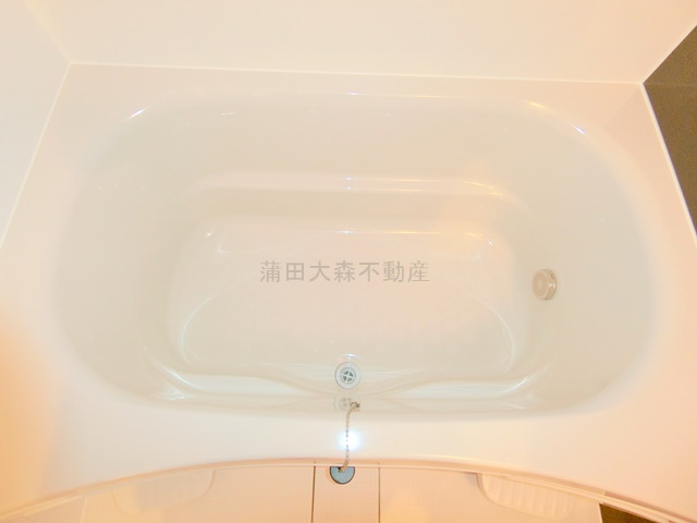 アピチェ大森の浴室