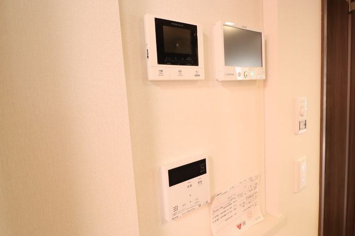 ルヴィータ大秋のセキュリティ