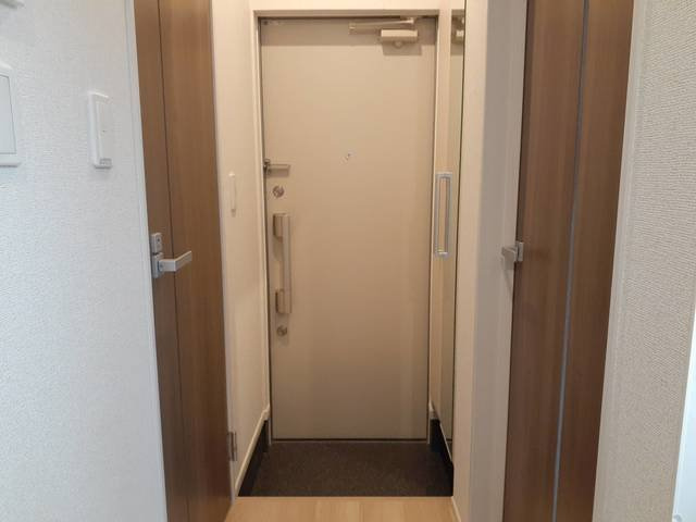 落ち着いた玄関です