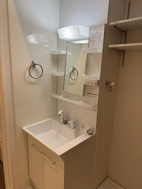 セレスティア細田Aの洗面所