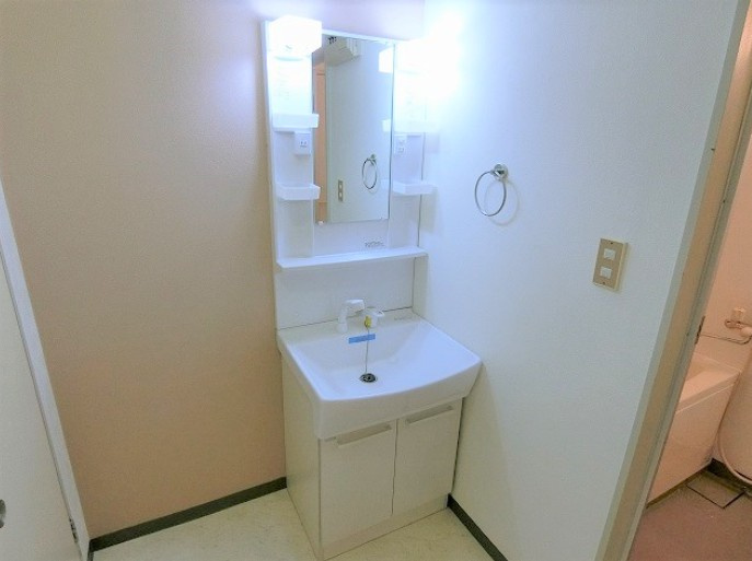 昭島市松原町５丁目の賃貸マンションの洗面所