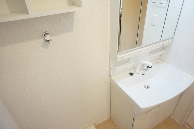 グラン　トレゾールⅡの洗面所