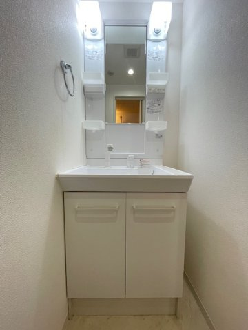 パーフェクトライフ九条の洗面所