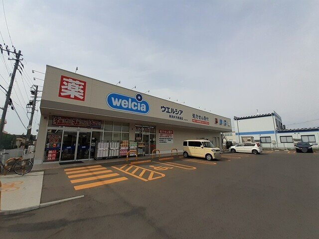 ヴィヴァーチェの周辺|ウエルシア新潟弁天橋通店まで600m