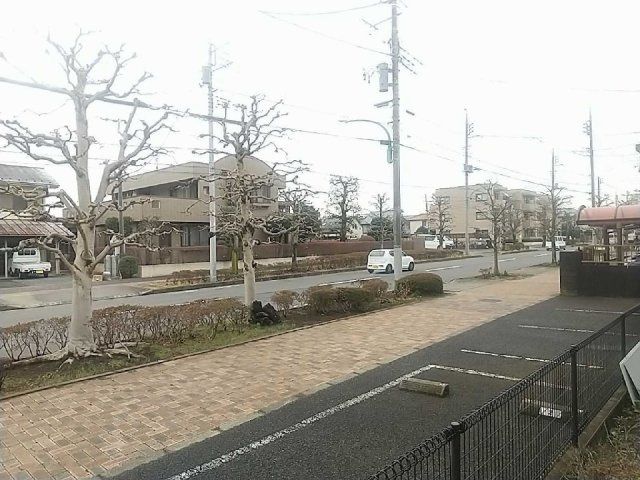 レオパレスヴィーブルⅡのその他