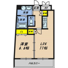 Apricot　Midoribashiの画像