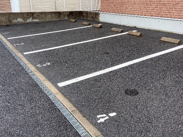 レオネクストルミエールのその他