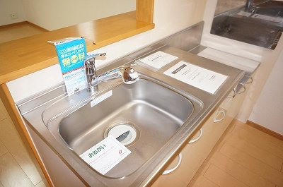 アルコ　イリスのその他