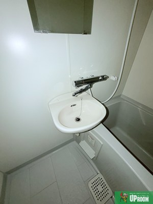 グリーンハイツ徳川の洗面所