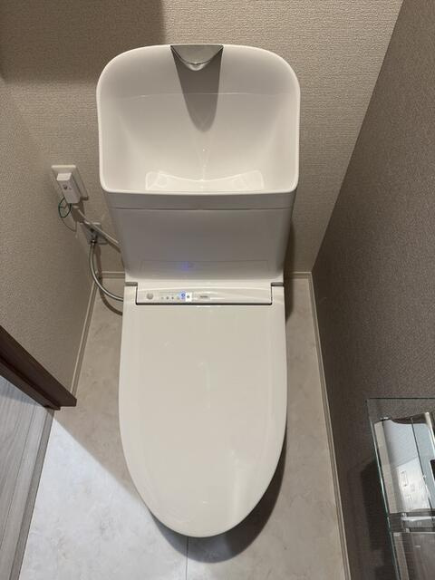 セレスティア細田Aのトイレ