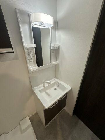 メゾンシトロンの洗面所