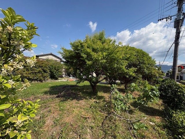 三井郡大刀洗町大字守部　売り土地の外観
