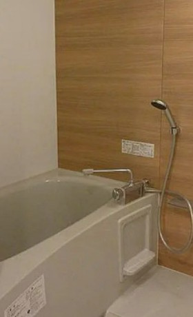 ユーレジデンス東新宿の浴室