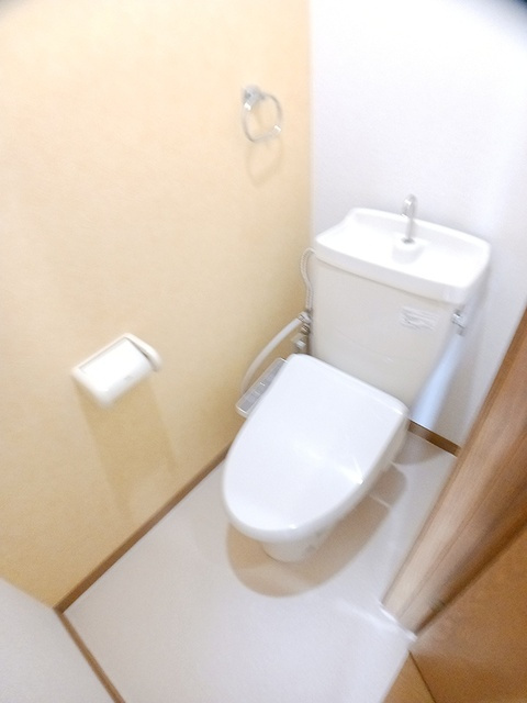 ハイツ十蓮寺A棟のトイレ|落ち着いたトイレです