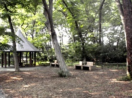 リアン・ボヌール浜田山のその他|三井の森公園