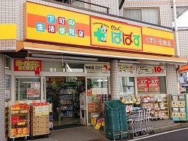 ヴィラージュ柴又の周辺|ぱぱすまで90m