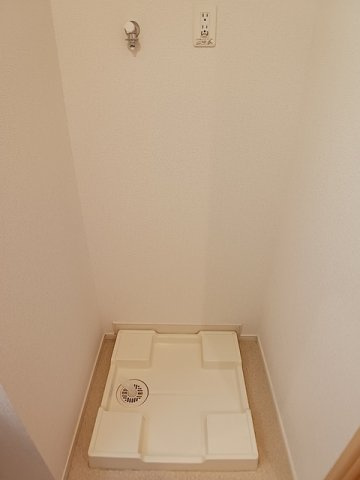 コルバスのその他