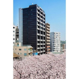目黒区大橋１丁目のマンションの画像