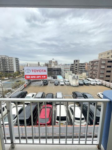 ステラ向野のその他|展望