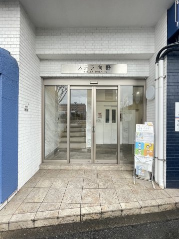 ステラ向野