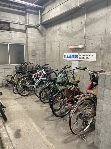 ステラ向野