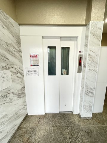 ステラ向野