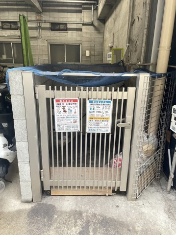ステラ向野