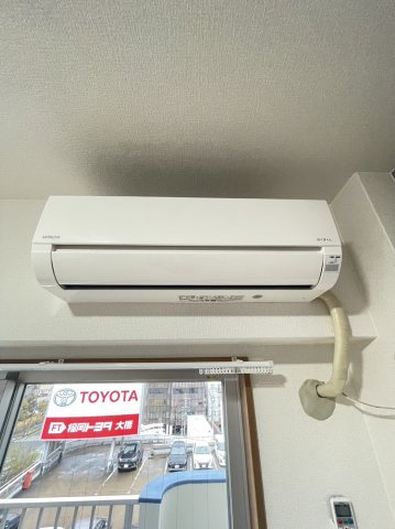 ステラ向野