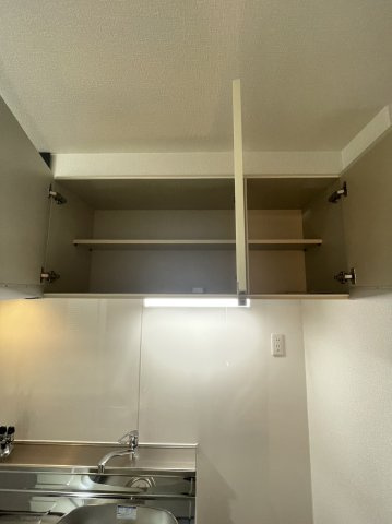 ステラ向野