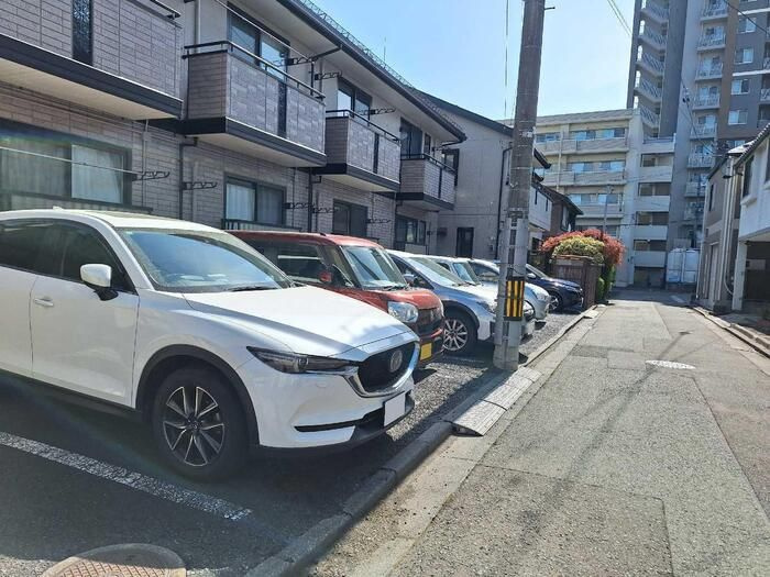 ピノ・ノワールの駐車場