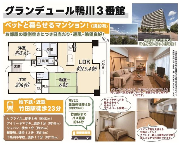 グランデュール鴨川３番館の間取り