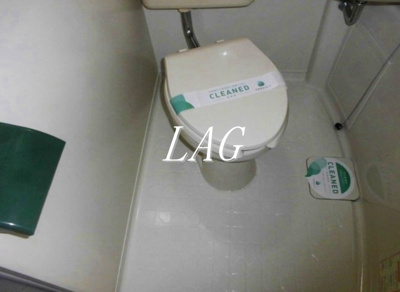 【トイレ】 | スカイコート落合Ⅱ | トイレです。