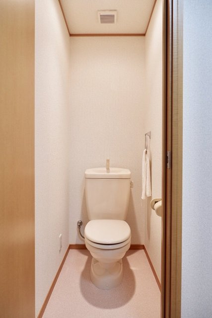 アミュレット茅ヶ崎のトイレ|他号室の参考写真