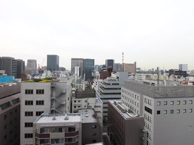 コンシェリア新橋 ＭＡＳＴＥＲ’Ｓ ＶＩＬＬＡの展望