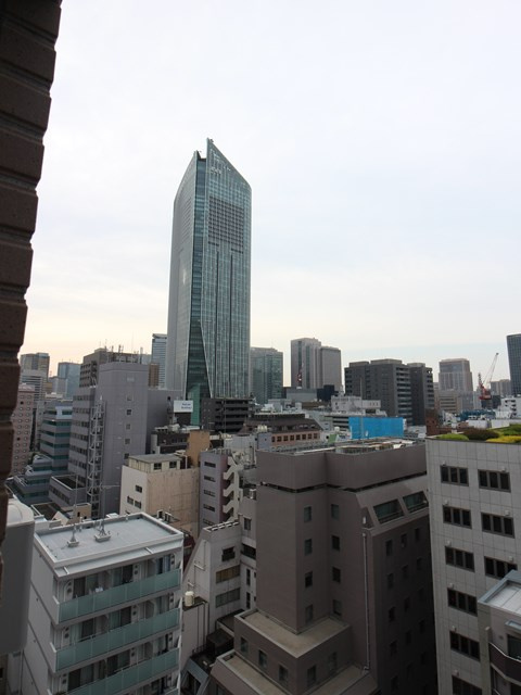 コンシェリア新橋 ＭＡＳＴＥＲ’Ｓ ＶＩＬＬＡの展望