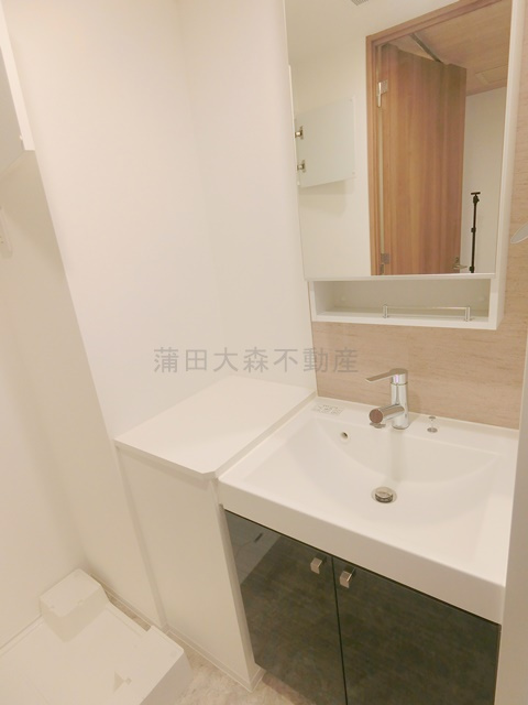 ZOOM下丸子の洗面所|洗面脱衣所　独立洗面台　