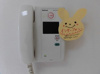 【セキュリティ】シティテラス南５条 
